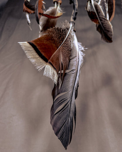 „Gausa“ Sapnų gaudyklė