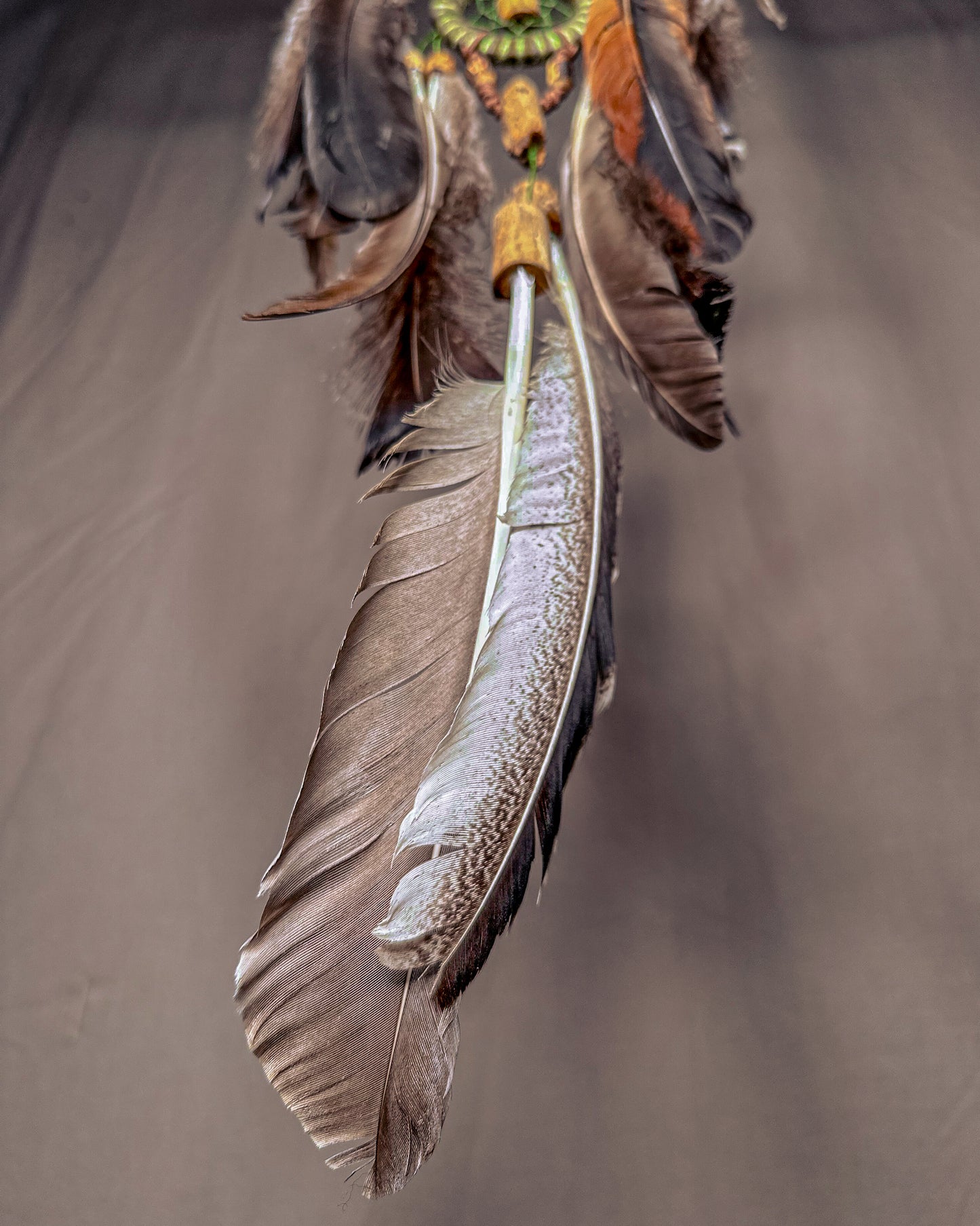 „Miškas“ Sapnų gaudyklė